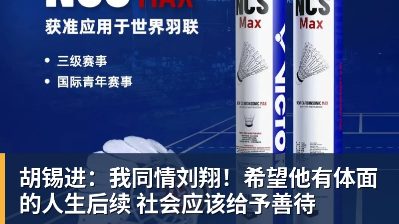 胡锡进：我同情刘翔！希望他有体面的人生后续 社会应该给予善待